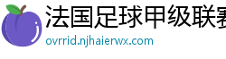 法国足球甲级联赛